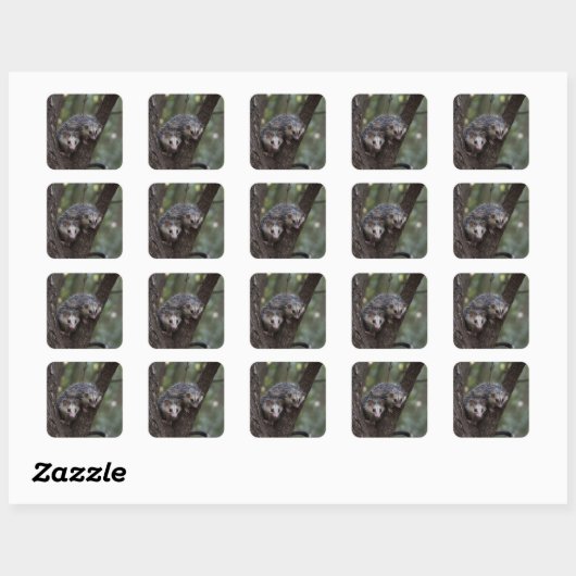 Sticker Carré Double difficulté dans la canopée : Sommes jumelle (Feuille)