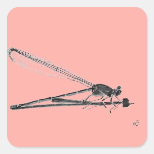 Sticker Carré Dragon Fly (Devant)