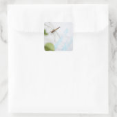 Sticker Carré Dragonfly 4 (Sac)