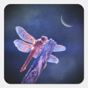 Sticker Carré Dragonfly and Crescent Moon Mystical