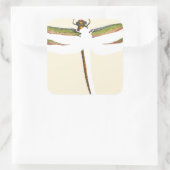 Sticker Carré Dragonfly miniature sur Arrière - plan blanc (Sac)