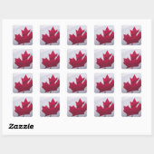 Sticker Carré Drapeau canadien. (Feuille)