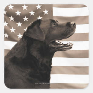 Sticker Carré Drapeau de chien et américain