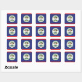 Sticker Carré Drapeau du Belize (Feuille)