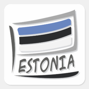 Sticker Carré Drapeau Estonie Pride X