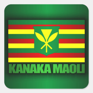 Sticker Carré Drapeau Kanaka Maoli
