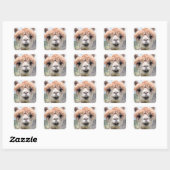 Sticker Carré Drôle Alpaca Llama Ne touche pas Je crache (Feuille)