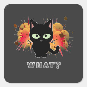 Sticker Carré Drôle Chat Noir Quelle Cute Kitten Aimants Humour