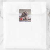 Sticker Carré Drôle chien (Sac)