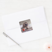 Sticker Carré Drôle chien (Enveloppe)
