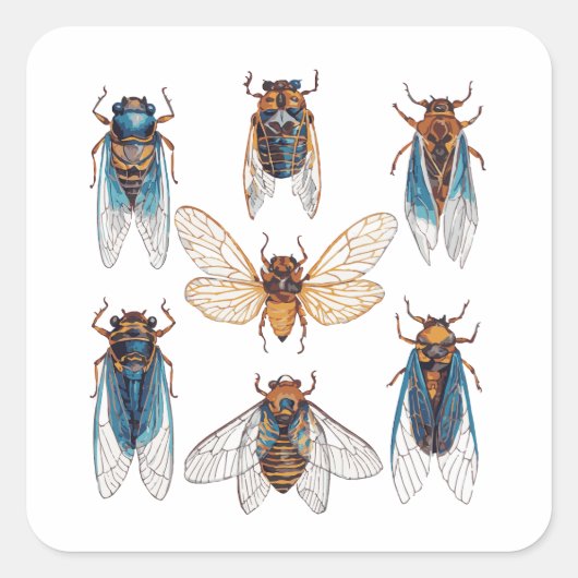 Sticker Carré Drôle Cicadas Insect Bug Graphisme Cicada Lover (Devant)