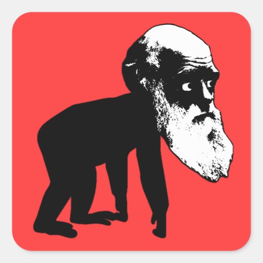 Sticker Carré Drôle évolution Darwin (Devant)