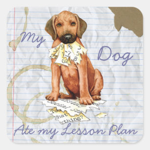Sticker Carré du plan de leçon Rhodesian Ridgeba