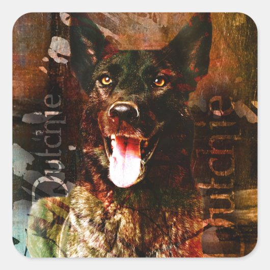 Sticker Carré Dutch-ContrastTankDutch Shepherd chien - Dutchie (Devant)
