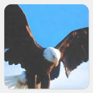 Sticker Carré Eagle