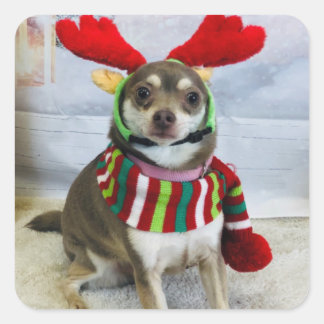 Sticker Carré Échec de Huey Holiday