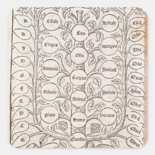 Sticker Carré Échelle céleste (Devant)