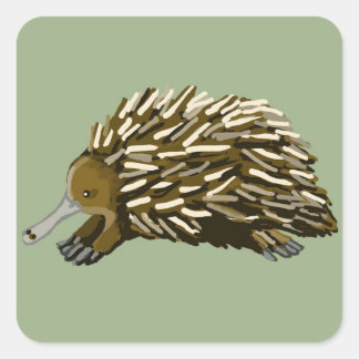 Sticker Carré Echidna