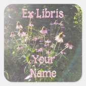 Sticker Carré Echinacea Flowers in the Sun Bookplate (Devant)