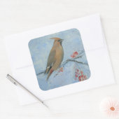 Sticker Carré Écirage (Enveloppe)