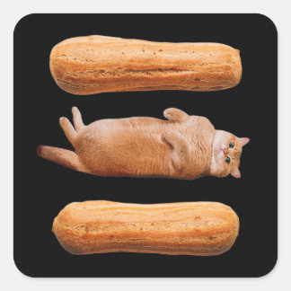 Sticker Carré Eclair