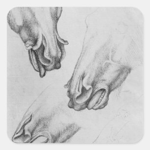 Sticker Carré Éclats de narines de chevaux