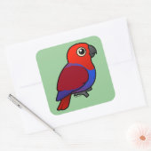 Sticker Carré Eclectus Parrot femelle (Enveloppe)
