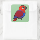 Sticker Carré Eclectus Parrot femelle (Sac)
