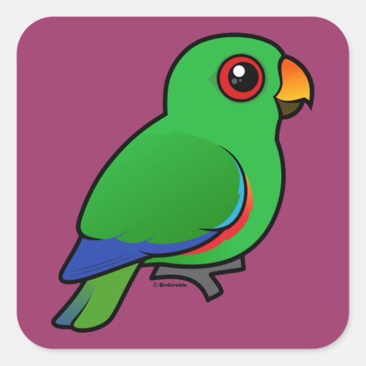 Sticker Carré Eclectus Parrot mâle (Devant)