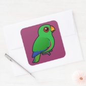 Sticker Carré Eclectus Parrot mâle (Enveloppe)