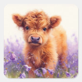 Sticker Carré Écossais Highland Vache Calf Violet Fleurs sauvage (Devant)