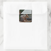 Sticker Carré Écureuil à l'éleveur d'oiseaux (Sac)