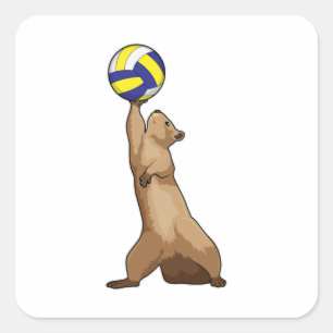 Sticker Carré Écureuil avec volleyball