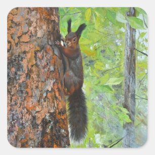 Sticker Carré Écureuil sur pin – Peinture à l'huile réaliste
