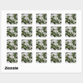 Sticker Carré Effacer cristal blanc Alyssum (Feuille)