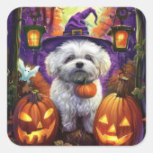 Sticker Carré Éffrayant Bichon Frise Halloween sorcière et Citro (Devant)