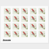 Sticker Carré Electus Parrot, sur une pousse de bambou (Feuille)