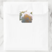 Sticker Carré Elégant blanc pêche orange roses (Sac)