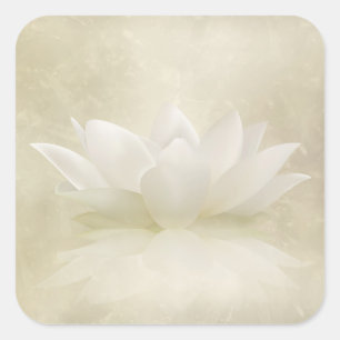 Sticker Carré Élégant Lotus blanc doux / Fleur Lily