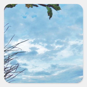 Sticker Carré Élégant Noël Holly, ciel bleu