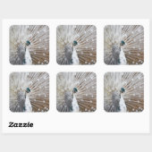 Sticker Carré Élégant Peacock Albino (Feuille)