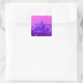 Sticker Carré Elegant Purple Raspberry Floral (Sac)
