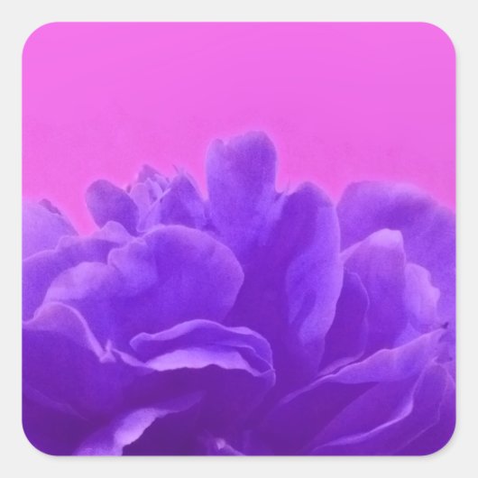 Sticker Carré Elegant Purple Raspberry Floral (Devant)