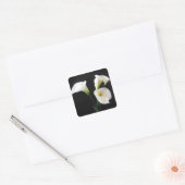 Sticker Carré Elégante Calla Lily Fleurs 12 (Enveloppe)