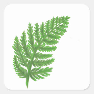 Sticker Carré Élégante fougères vertes feuilles de bois
