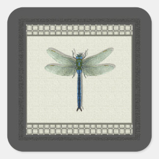 Sticker Carré Élégante libellule bleue