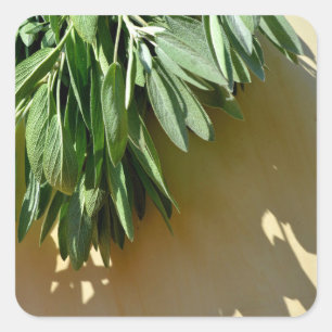 Sticker Carré Élégante plante verte feuille herbes fraîches coup