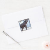 Sticker Carré Eléphant bébé (Enveloppe)