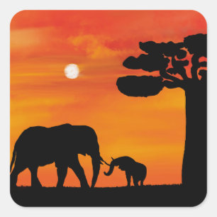 Sticker Carré éléphant, , ciel, animaux, lever du soleil, nature