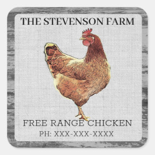 Sticker Carré Élevage de poulet Viande Oiseaux Libre de gamme